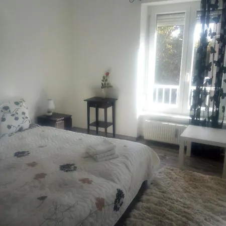 Rozinka * Dunaújváros